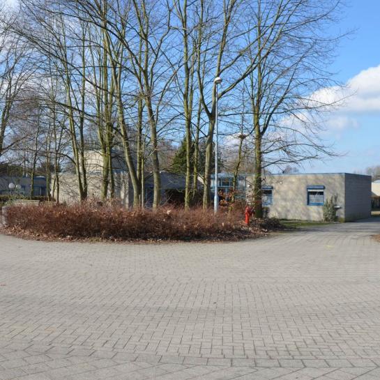 Hallaar Ten Kerselaere 2.jpg